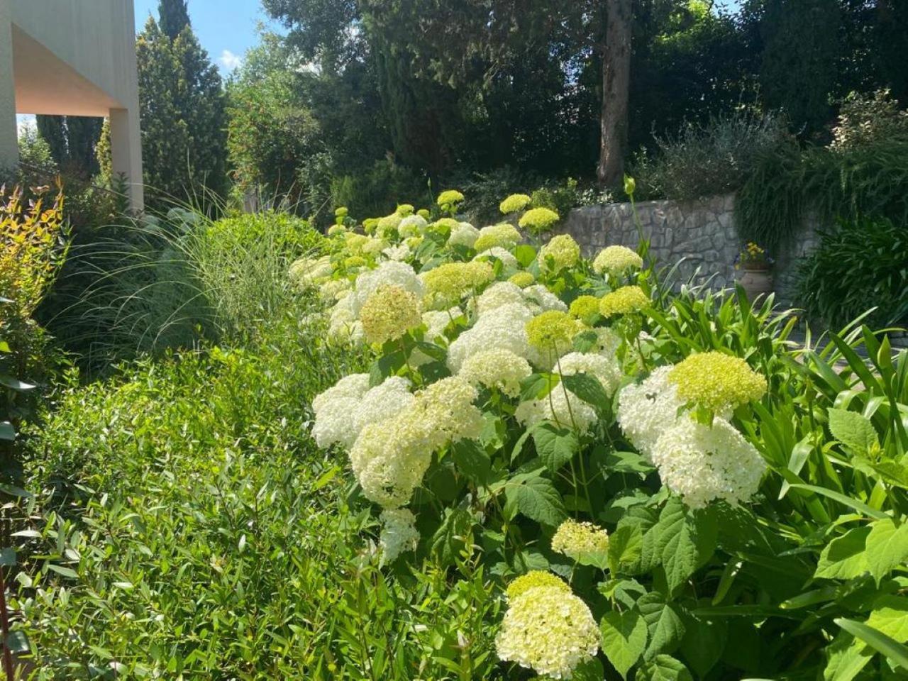 Villa Luna Comeana 외부 사진